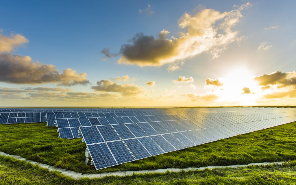 solar panel farm