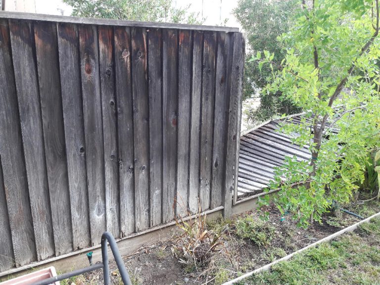 wood structural damage